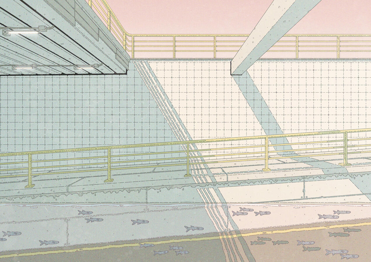 Illustration of road and sidewalk under a bridge. The road is flooded and fishes swim on it. The illustration is colored with pastel tones.