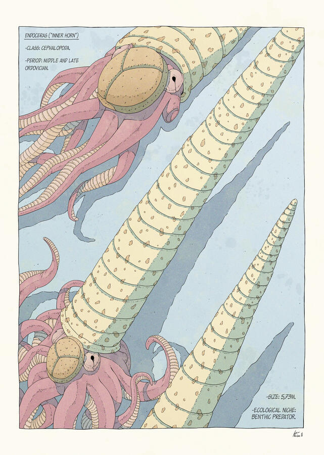 Ink drawing of three Endoceras, colored in pastel tones. They are arranged so their long shells form a diagonal composition. Several facts about them are also written on the illustration. Ink drawing of three Endoceras, colored in pastel tones. They are arranged so their long shells form a diagonal composition. Several facts about them are also written on the illustration.