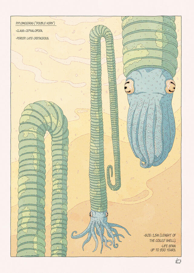 Color illustration of three diplomoceras, with green shells and blue bodies, floating against a background of yellow water. Facts about the animal are written on the corners. Color illustration of three diplomoceras, with green shells and blue bodies, floating against a background of yellow water. Facts about the animal are written on the corners.