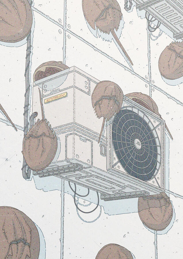 Color illustration of several horseshoe crabs climbing a brutalist wall with air conditioning units on it. Color illustration of several horseshoe crabs climbing a brutalist wall with air conditioning units on it.