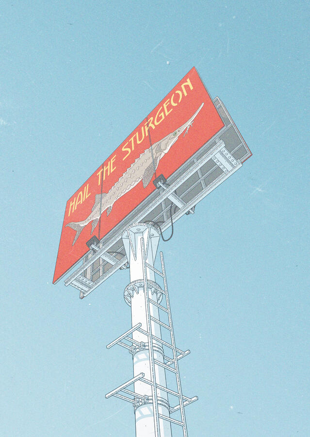 Color illustration of a billboard against a blue sky. The billboard shows an sturgeon against a red background and yellow text saying "Hail the Sturgeon". Color illustration of a billboard against a blue sky. The billboard shows an sturgeon against a red background and yellow text saying "Hail the Sturgeon".