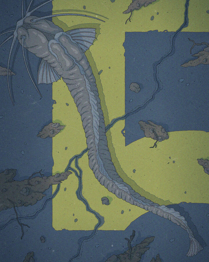 Color illustration of a Uegitglanis zammaranoi cavefis, laying atop a number 5 painted on a flooded parking spot. Color illustration of a Uegitglanis zammaranoi cavefis, laying atop a number 5 painted on a flooded parking spot.